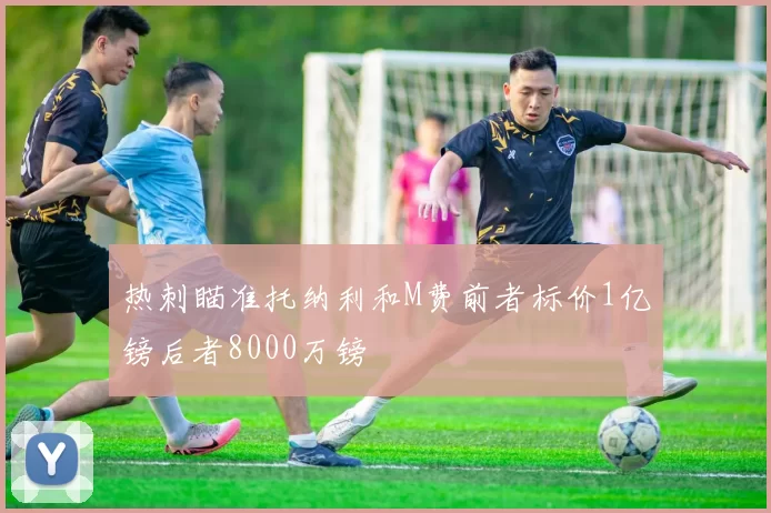热刺瞄准托纳利和M费前者标价1亿镑后者8000万镑